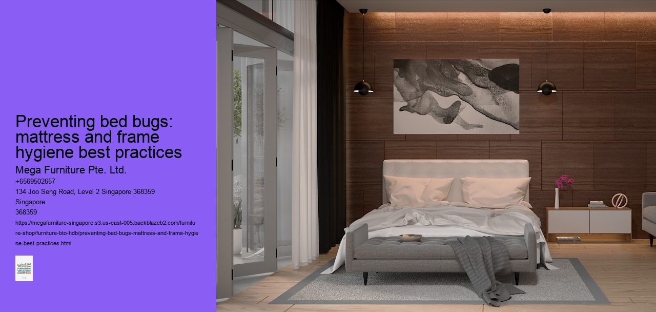 Preventing bed bugs: mattress and frame hygiene best practices