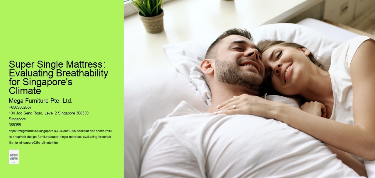 Super Single Mattress: Evaluating Breathability for Singapore's Climate